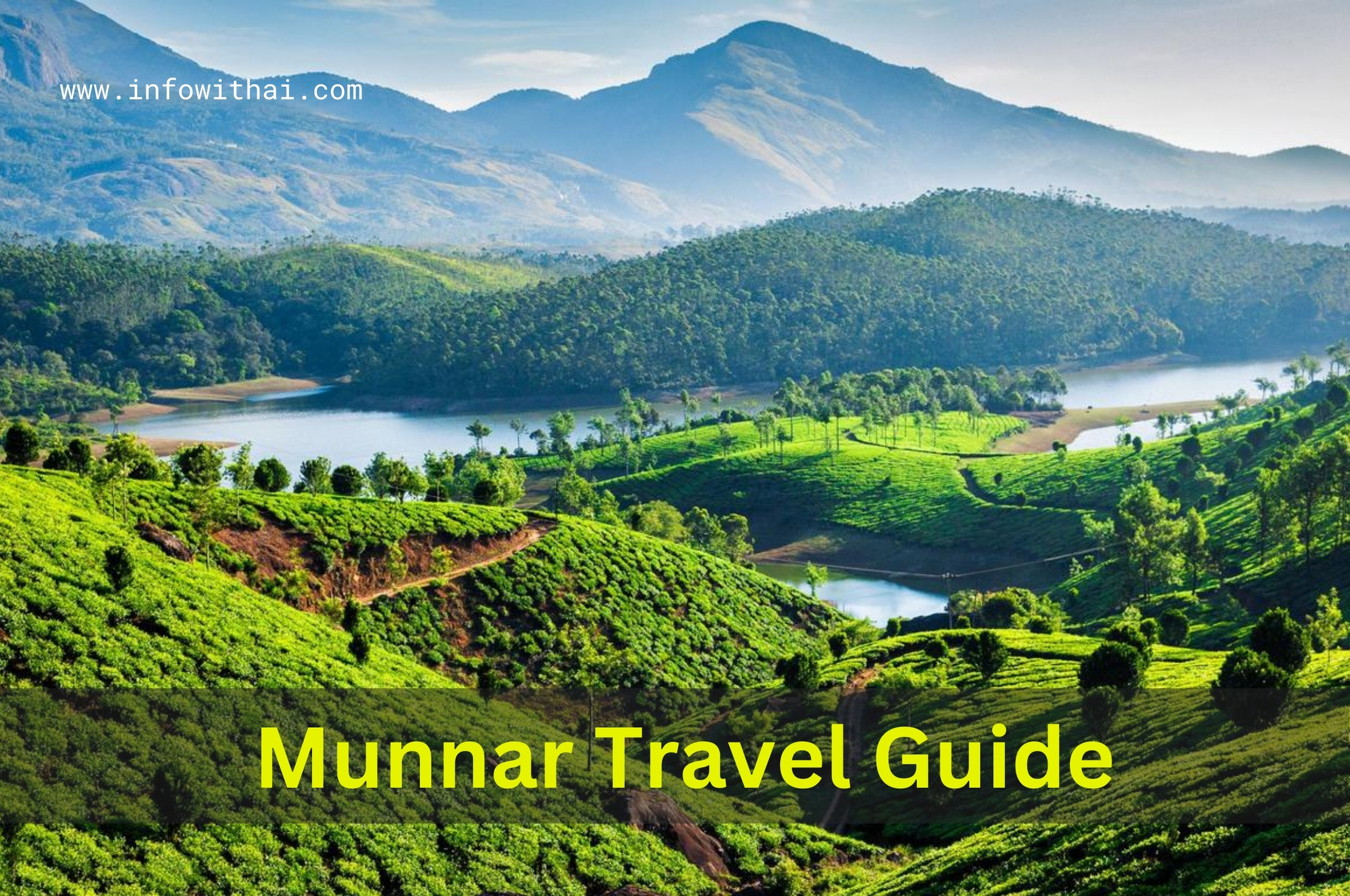 Munnar Travel Guide